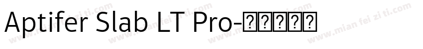 Aptifer Slab LT Pro字体转换
